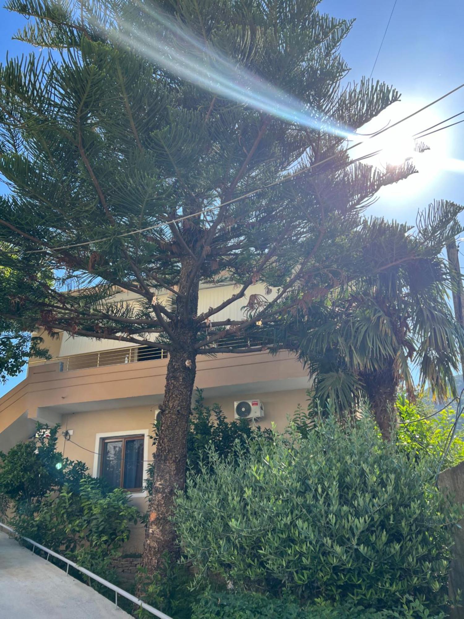 Villa Green Vlore Exterior photo
