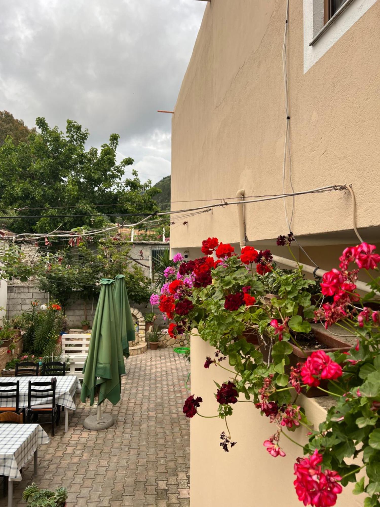 Villa Green Vlore Exterior photo